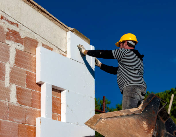 Best Insulation Inspection Services  in Brandon, MS