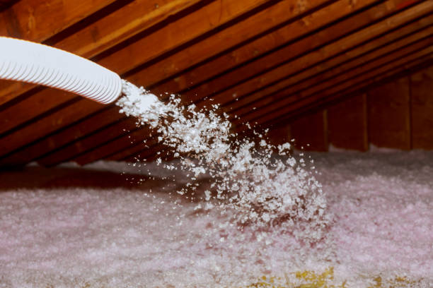 Best Spray Foam Insulation  in Brandon, MS