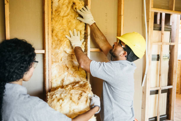 Attic Insulation Near Me in Brandon, MS