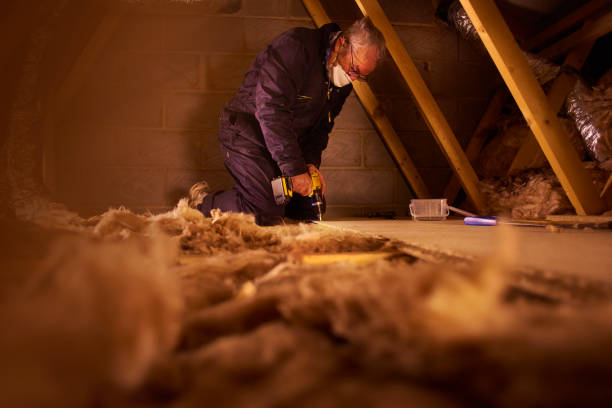 Best Wall Insulation Contractor  in Brandon, MS